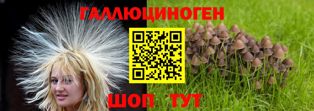 Семёнов  Галлюциногенные грибы ЛСД  Вход с VPN 